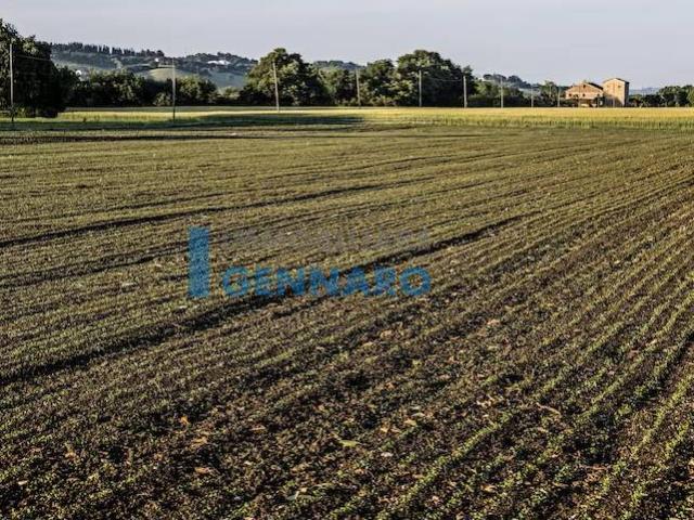 Terreno in vendita a Reana Del Roiale, Friuli-Venezia Giulia