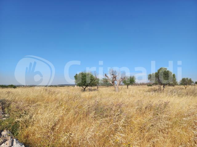 Terreno in vendita a Puglia, Lecce