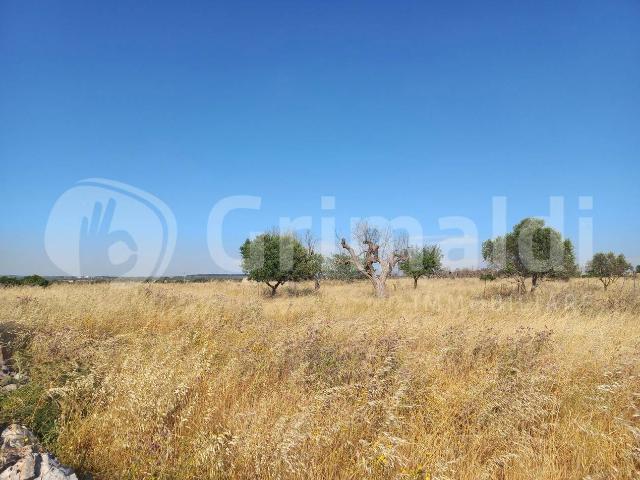 Terreno in vendita a Puglia, Lecce