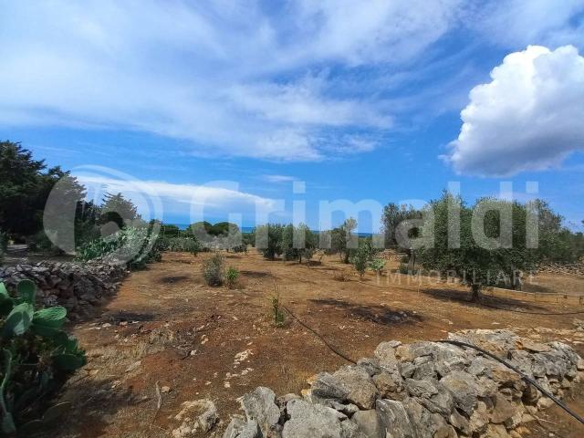 Terreno in vendita a Fontanelle, Puglia