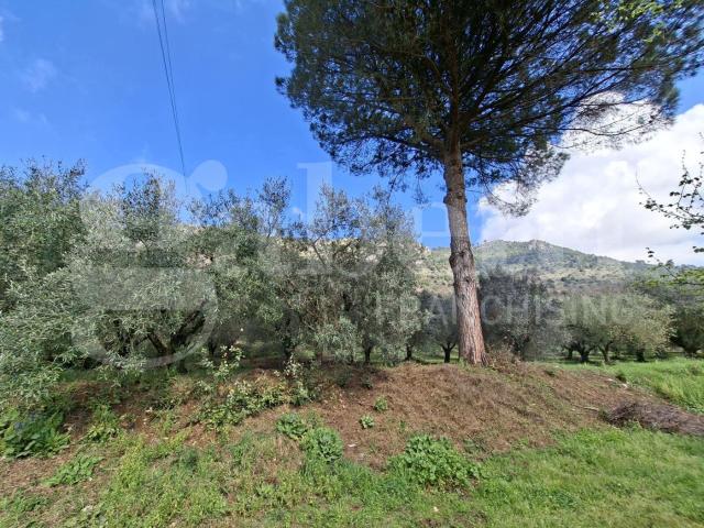 Terreno in vendita a Vairano Patenora, Campania