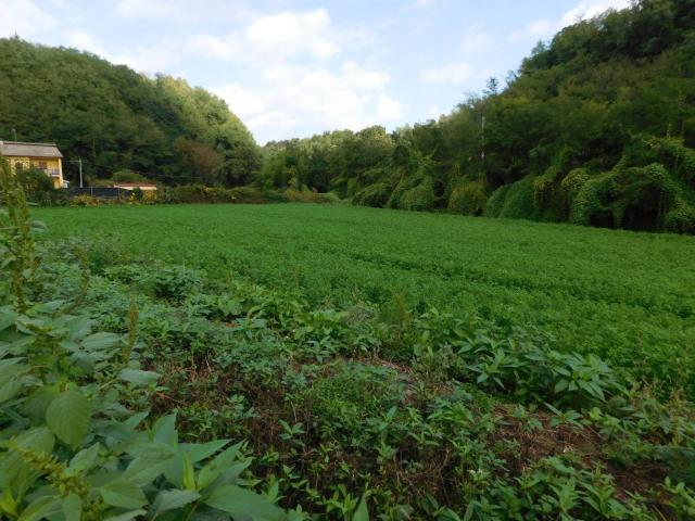 Terreno in vendita a Villaggio Rinascita, Roma Capitale