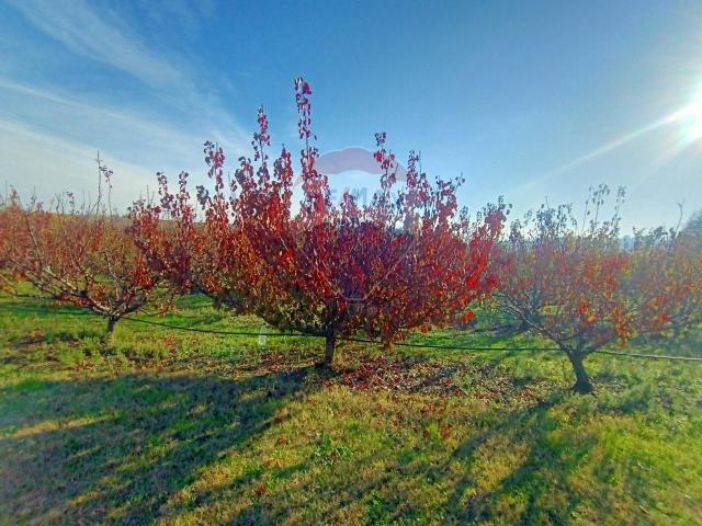 Terreno in vendita a Unione dei comuni Valli del Reno, Lavino e Samoggia, Montebudello