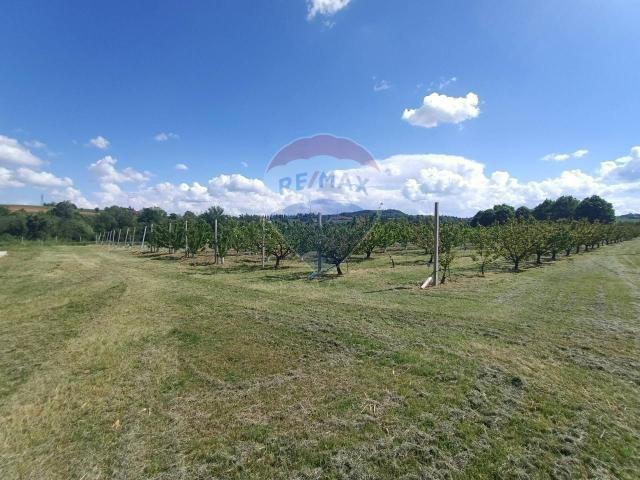 Terreno in vendita a Unione dei comuni Valli del Reno, Lavino e Samoggia, Montebudello
