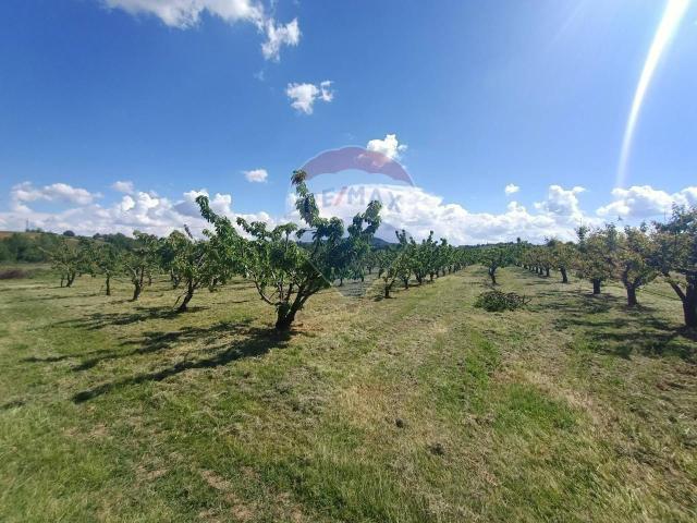 Terreno in vendita a Unione dei comuni Valli del Reno, Lavino e Samoggia, Montebudello