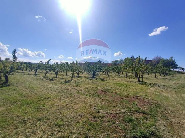 Terreno in vendita a Unione dei comuni Valli del Reno, Lavino e Samoggia, Montebudello