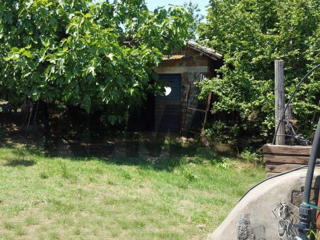 Terreno in vendita a Vasanello, Lazio