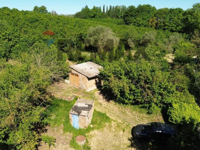 Terreno in vendita a Vasanello, Lazio