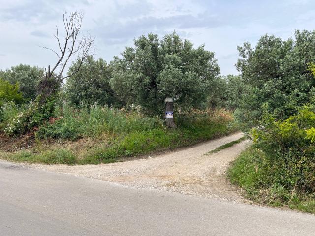 Terreno in vendita a Lebba, Vasto