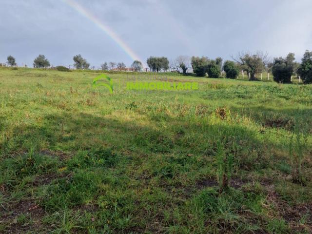 Terreno in vendita a Cisterna Di Latina, Lazio