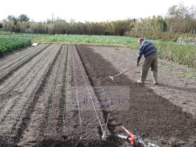 Terreno in vendita a Lido-Pellestrina, Venezia