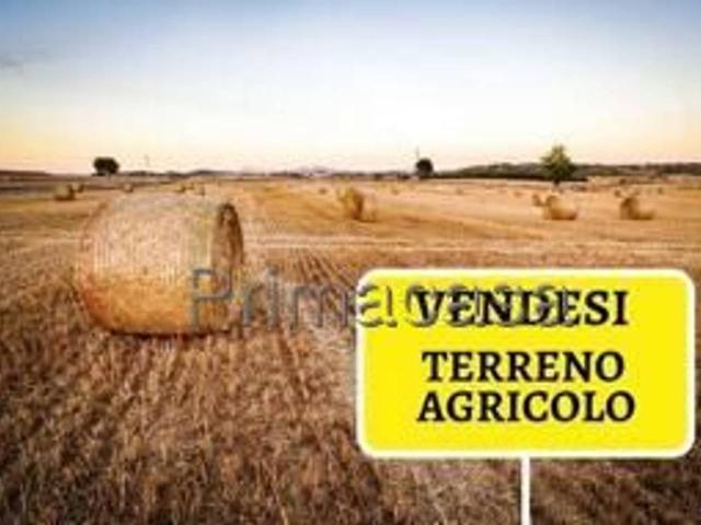 Terreno in vendita a Quinzano, Brenzone