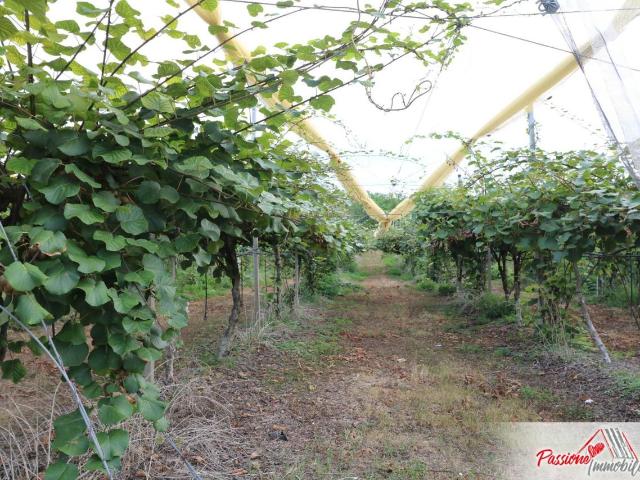 Terreno in vendita a Ovest, Brenzone