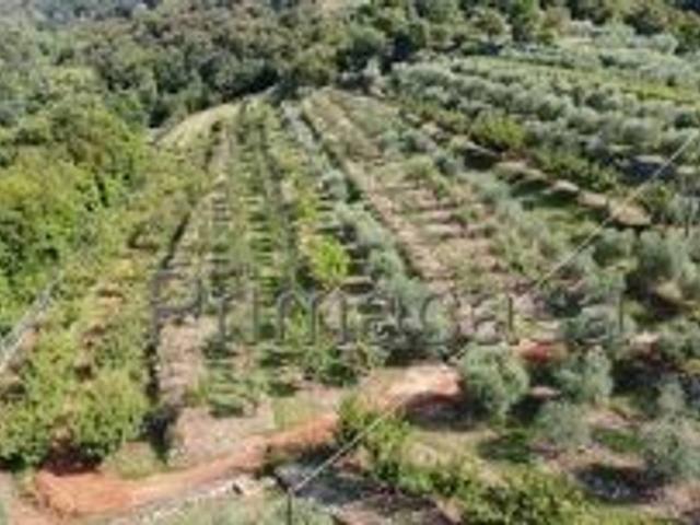 Terreno in vendita a Quinzano, Brenzone