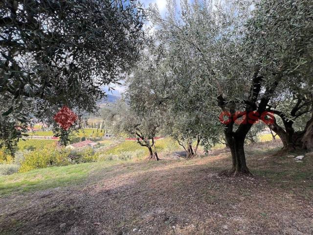 Terreno in vendita a Sezano, Verona