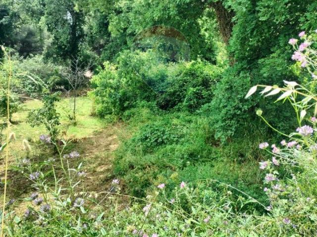 Terreno in vendita a Monterosso, Viagrande