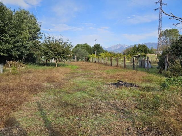 Terreno in vendita a Viareggio, Toscana