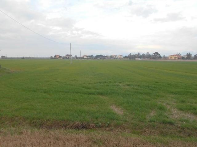 Terreno in vendita a Collesalvetti, Toscana