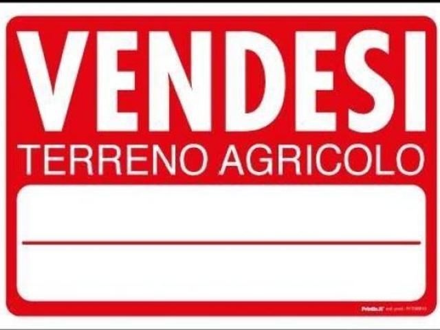 Terreno in vendita a San Giovannialla Vena, Toscana