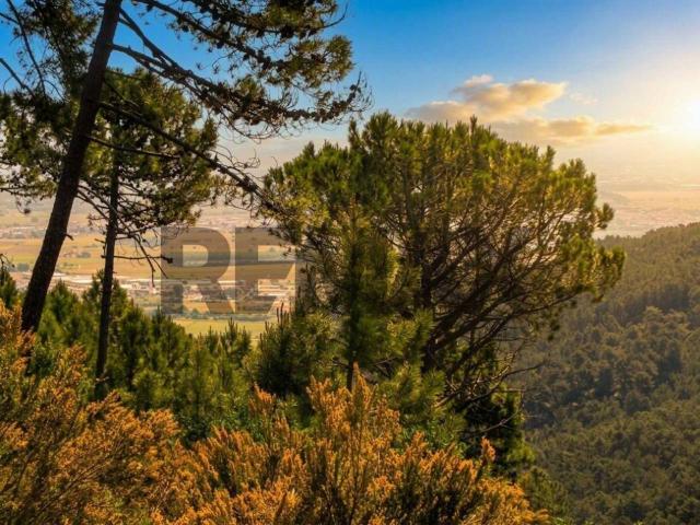 Terreno in vendita a Montemagno, Calci