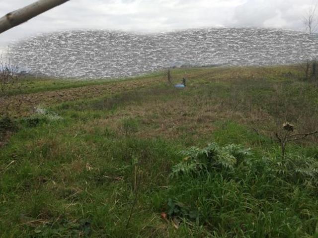 Terreno in vendita a San Giovannialla Vena, Toscana