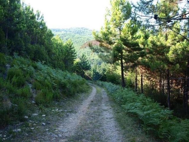 Terreno in vendita a Montemagno, Calci