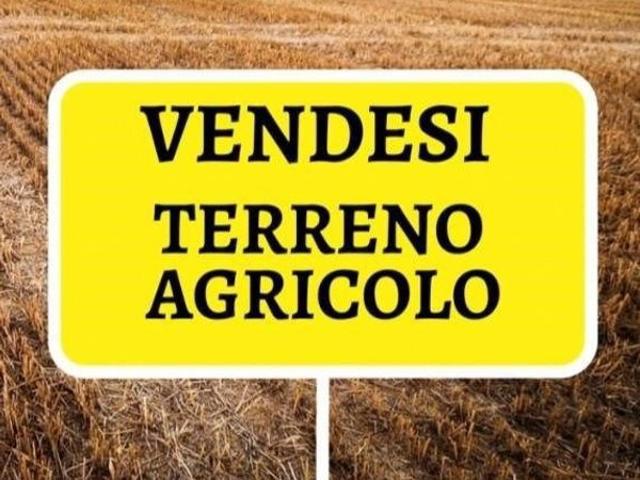 Terreno in vendita a Prisco, Vigodarzere
