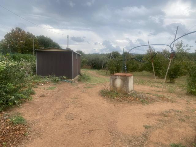 Terreno in vendita a Villa San Giovanni In Tuscia, Lazio