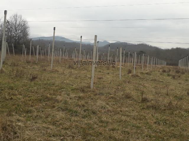 Terreno in vendita a Unione di comuni Montana Lunigiana, Bagnone