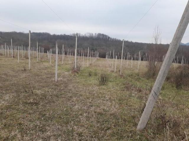 Terreno in vendita a Unione di comuni Montana Lunigiana, Villafranca In Lunigiana