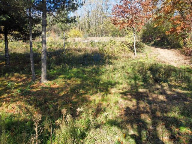 Terreno in vendita a Piemonte, Torino