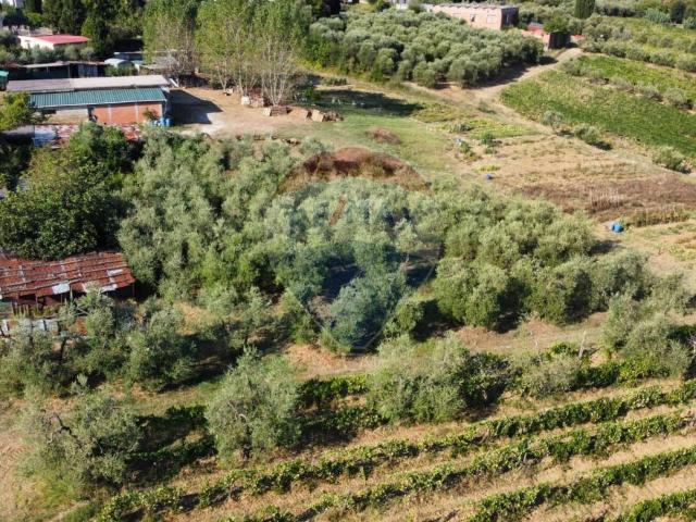 Terreno in vendita a Unione dei Comuni Circondario dell'Empolese Valdelsa, Vinci