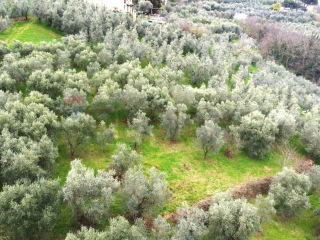 Terreno in vendita a Unione dei Comuni Circondario dell'Empolese Valdelsa, Vinci