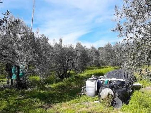Terreno in vendita a Vinci, Firenze