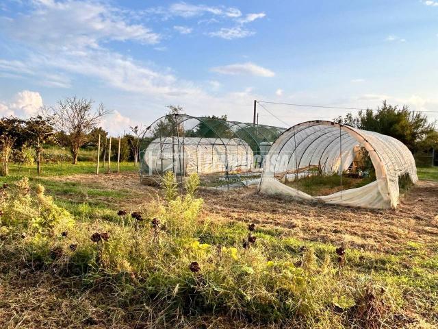 Terreno in vendita a Vinovo, Torino