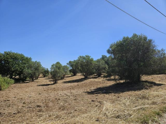 Terreno in vendita a Viterbo, Lazio