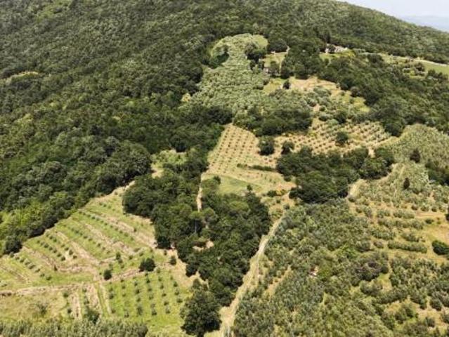 Terreno in vendita a Vinci, Firenze