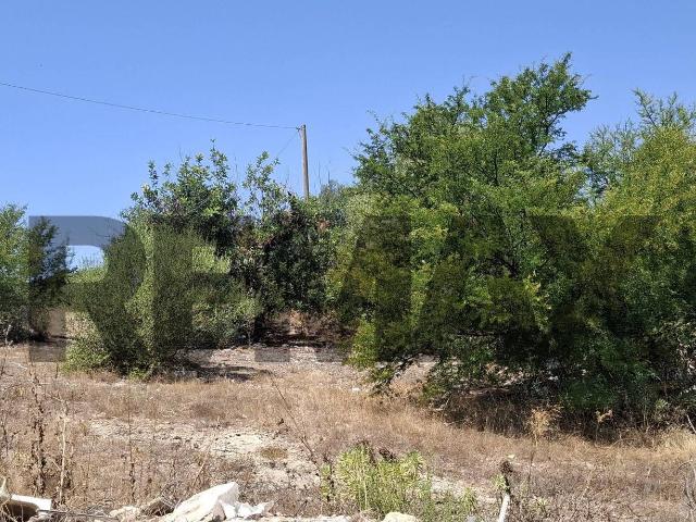 Terreno in vendita a Vittoria, Sicilia