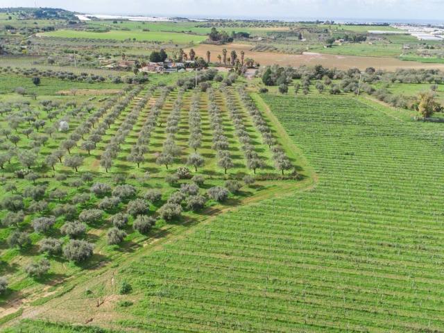 Terreno in vendita a Vittoria, Sicilia