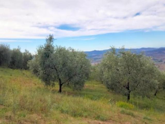 Terreno in vendita a Volterra, Toscana