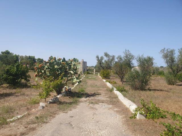Terreno in vendita a Puglia, Lecce