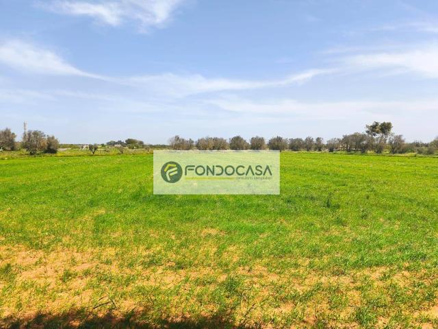 Terreno in vendita a Puglia, Lecce