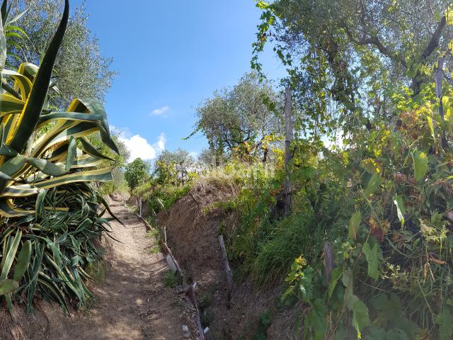 Terreno in vendita a Prati di Vezzano, Vezzano Ligure