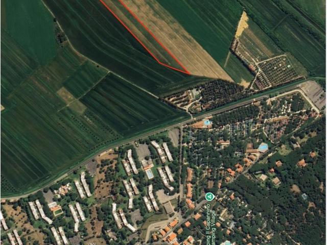 Terreno in vendita a Bibbona, Toscana