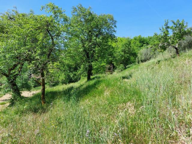 Terreno in vendita a Unione dei comuni Media Valle del Serchio, Pescaglia