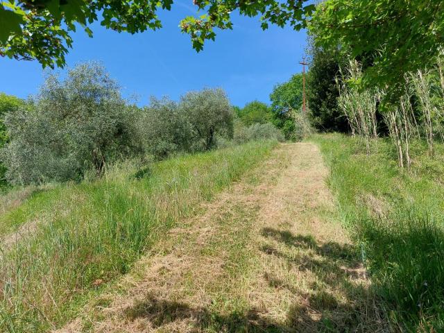 Terreno in vendita a Unione dei comuni Media Valle del Serchio, Pescaglia