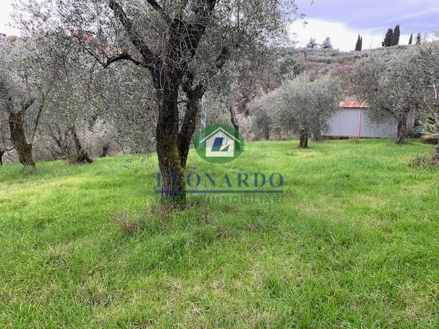 Terreno in vendita a Buggiano, Toscana