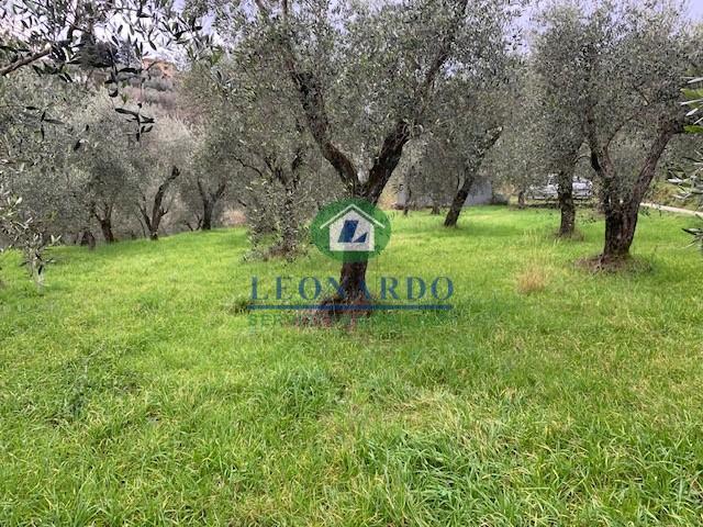 Terreno in vendita a Buggiano, Toscana