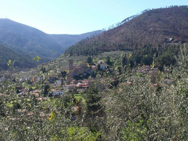 Terreno in vendita a Sant'Andrea di Compito, Capannori