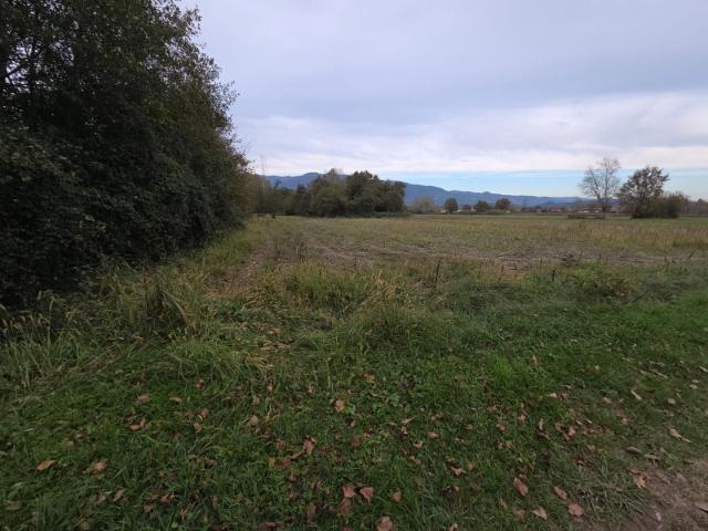 Terreno in vendita a Zone, Capannori